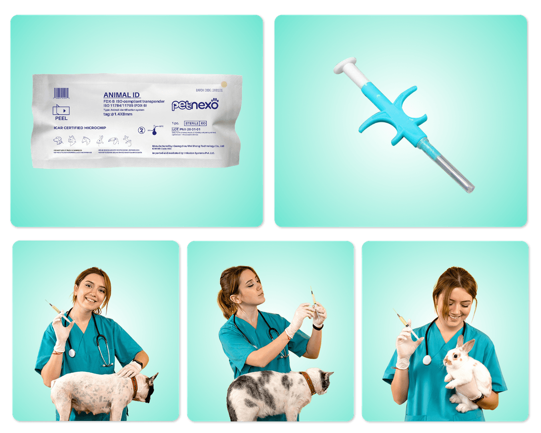 Pet microchip with dog and cat